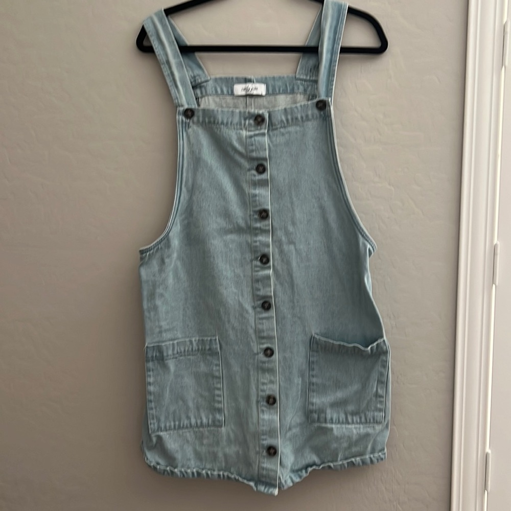 Carly Jean Los Angeles denim dress